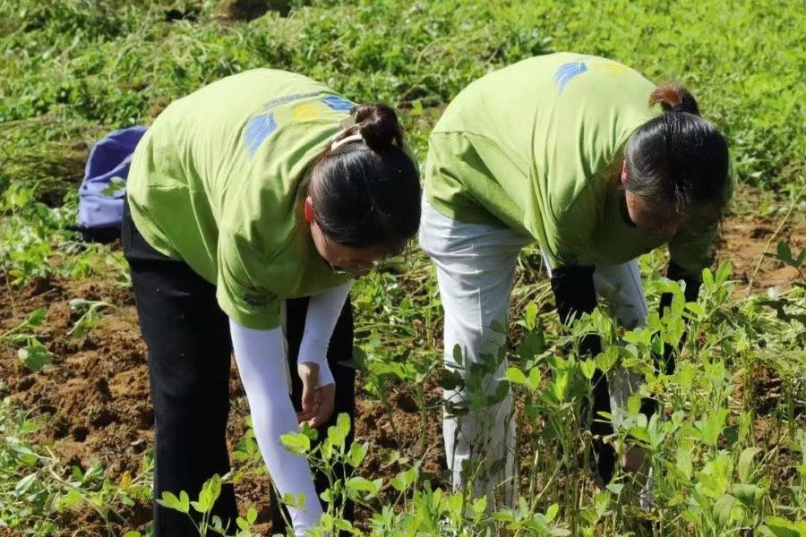 永利集团3044欢迎你
