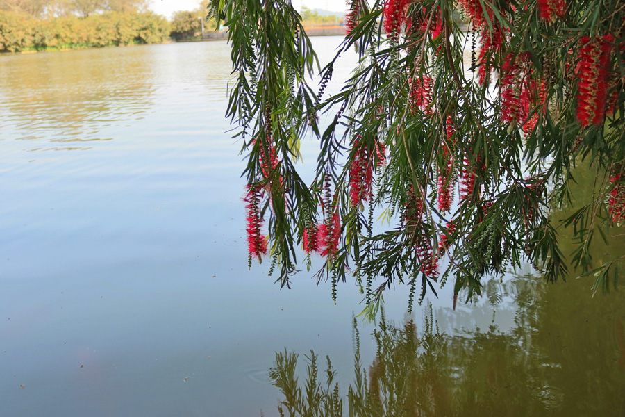 永利集团3044欢迎你