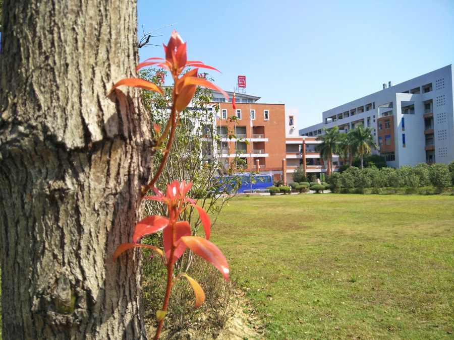 永利集团3044欢迎你