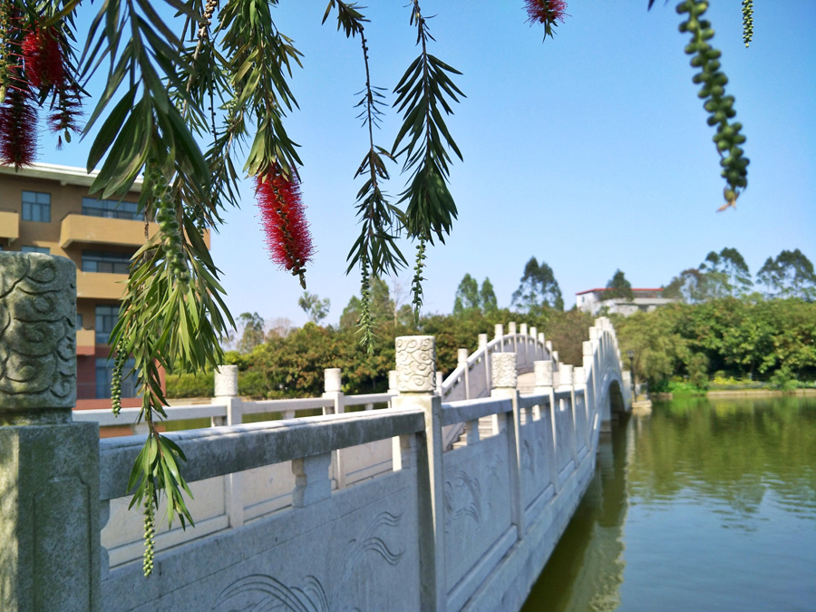 永利集团3044欢迎你