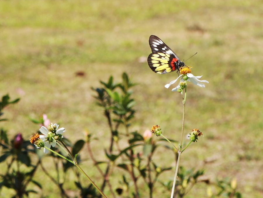 永利集团3044欢迎你