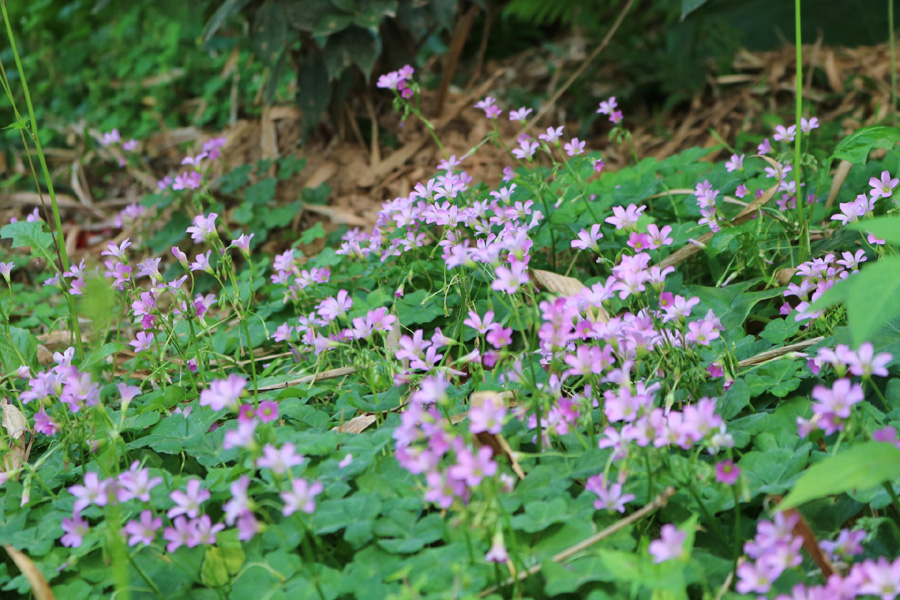 永利集团3044欢迎你