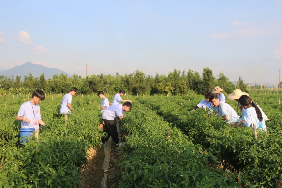 永利集团3044欢迎你