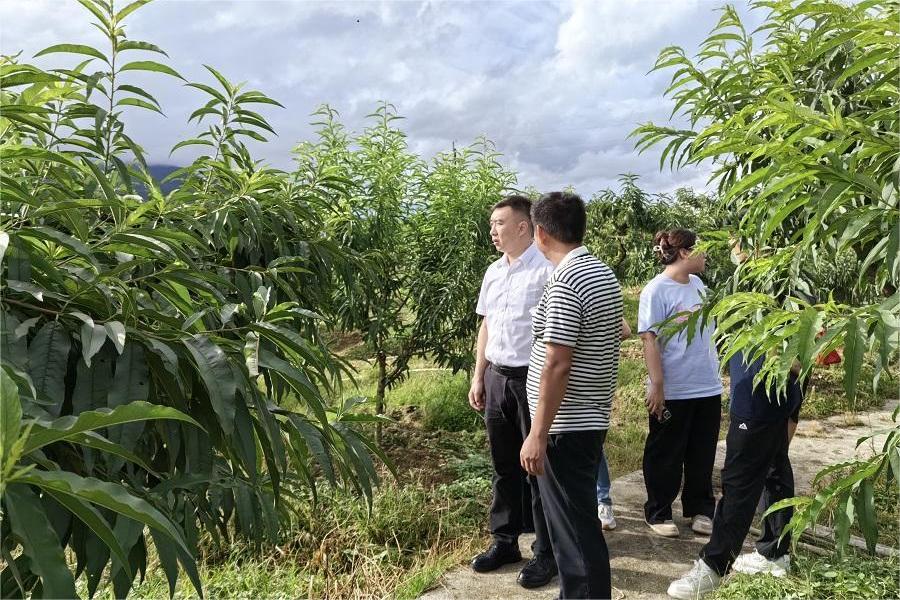 永利集团3044欢迎你